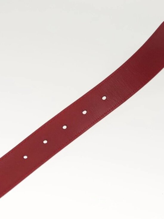 LOUIS VUITTON Multicolor Ceinture Care Belt 37.8\